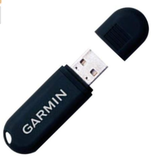 ACCESS ANT USB STICK MEMORIA