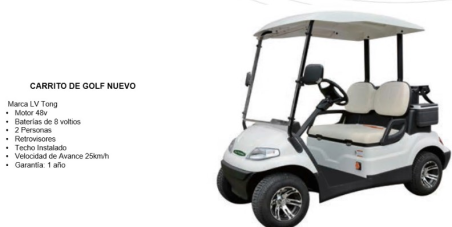 CARRITO DE GOLF PARA 2 PERSONAS MARCA LV TONG