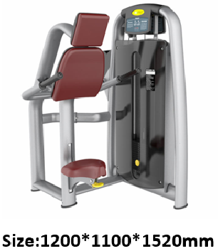 TRICEPS DIP MARCA SPORTMEC