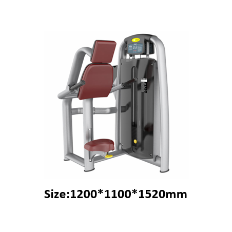 TRICEPS DIP MARCA SPORTMEC